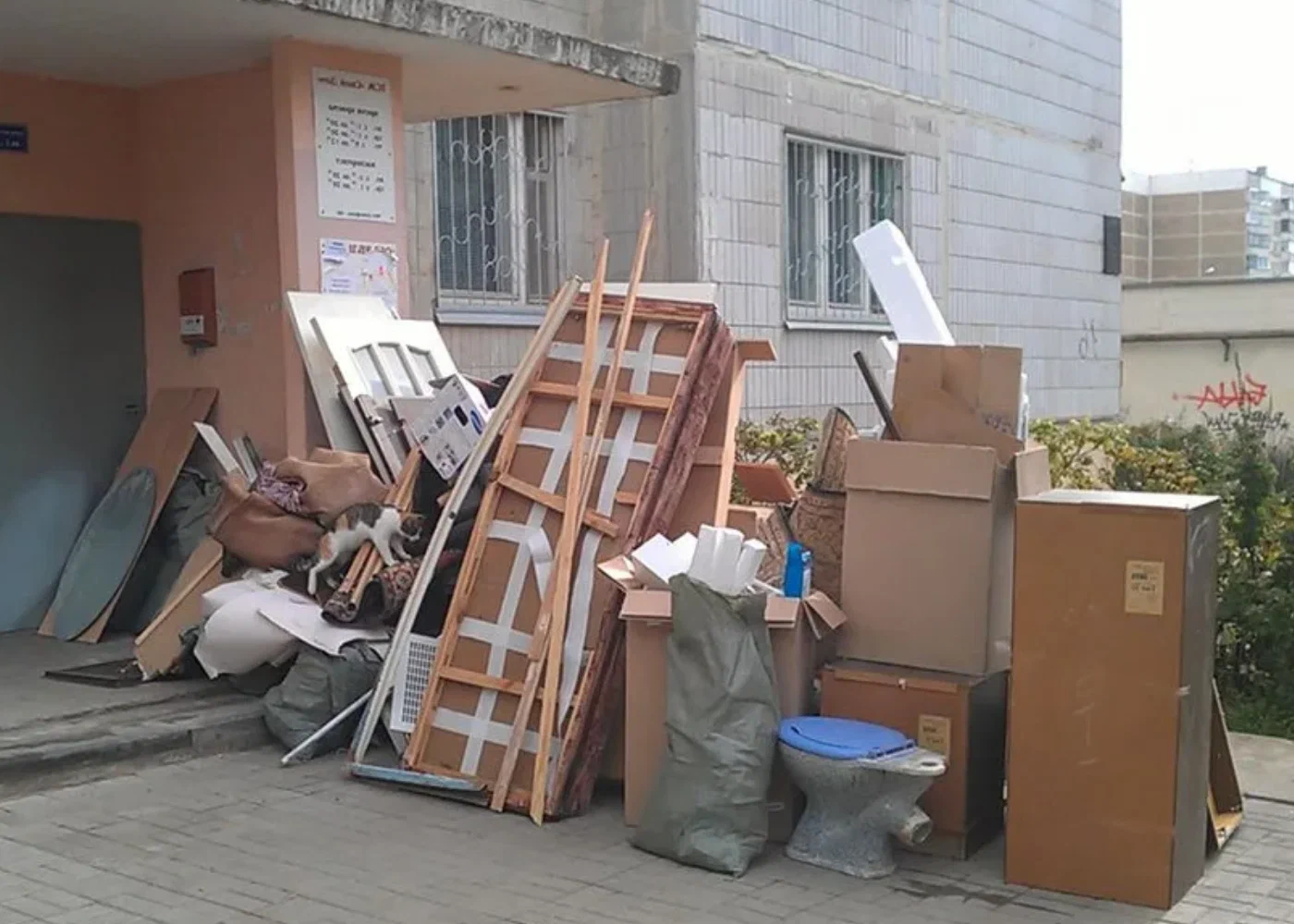 Профессиональный вывоз мусора из квартиры в Москве в октябре