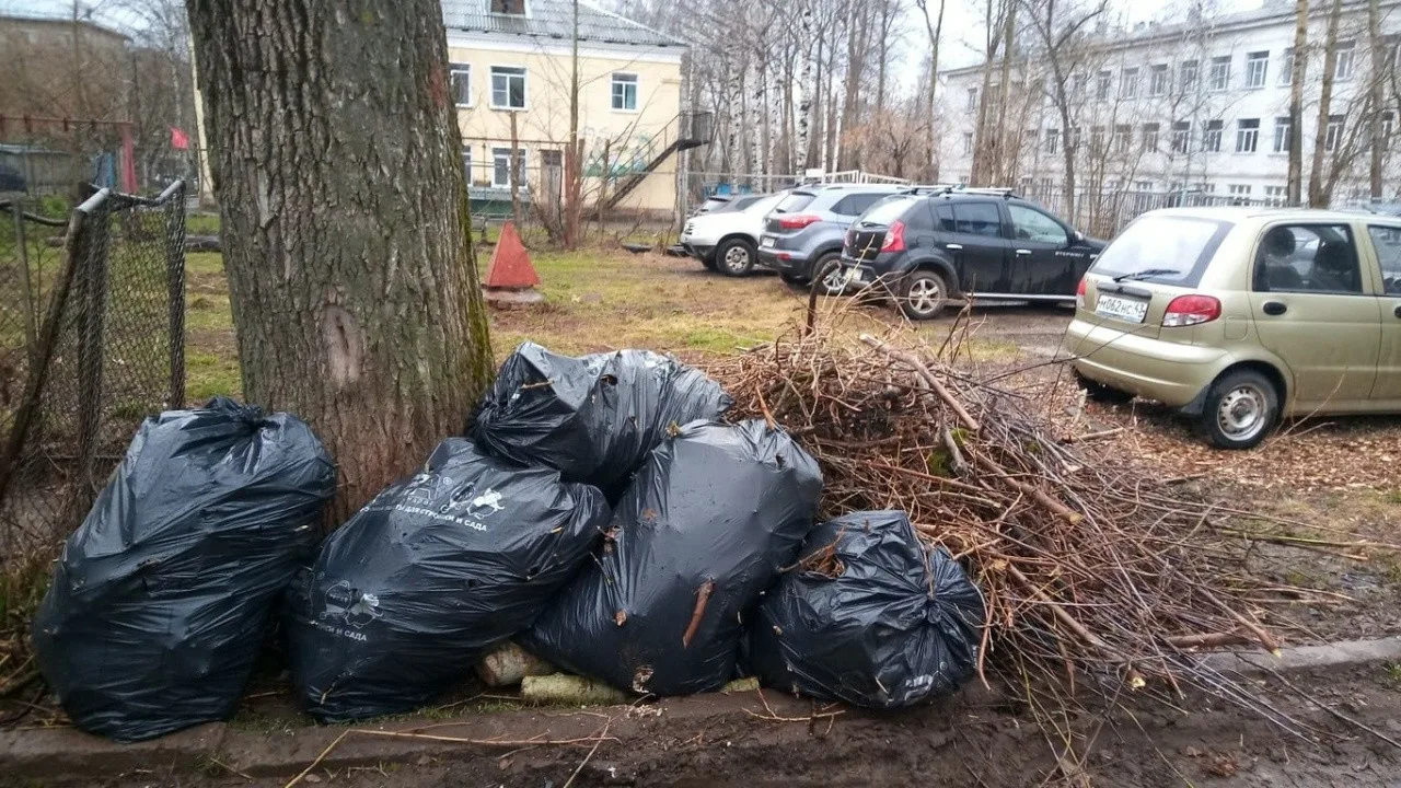 Вывоз мусора после субботника в Москве от ПроМусор – уборка и утилизация отходов от 2485 руб