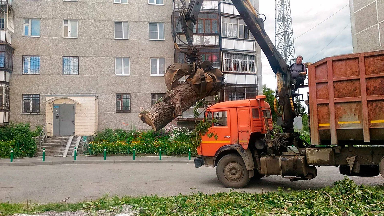 Вывоз спиленных веток и деревьев в Москве от ПроМусор: порубочные остатки, утилизация, цена от 3067 руб